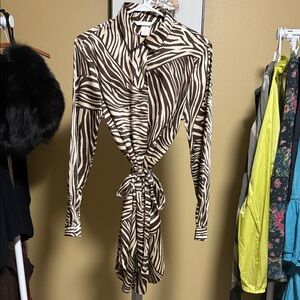 H&M Zebra Print Long Sleeve Dress